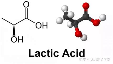 lactate 中文